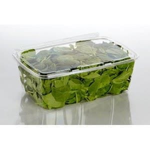 500ml Rectangular Hinged Container