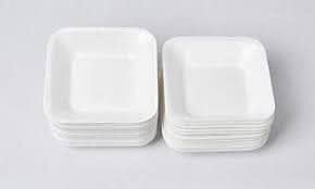 1/8 kg Foam Plate - Pack of 25 Plates