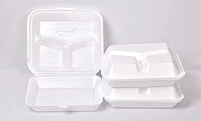 Divided Foam Plate - Pack of 25 Plates