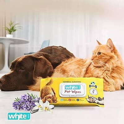 White Wet Wipes for Dogs and Cats - 54 Wipes