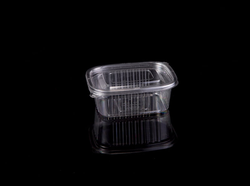 Rectangular Sauce Container 100