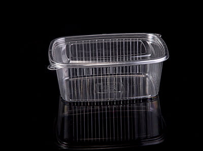 1000ml Rectangular Hinged Container